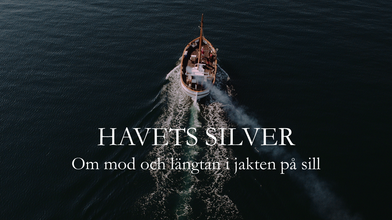 Havets silver